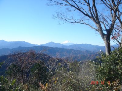 DSC07829_400.jpg